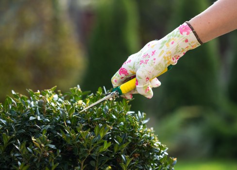 Beautiful garden maintenance in Tokyngton with tidy lawns and borders