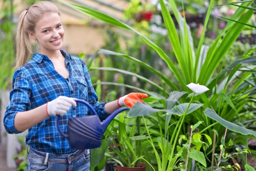 Seasonal planting and lawn care by gardeners in Tokyngton