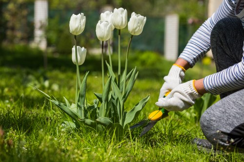 Local garden care and landscape upkeep in Tokyngton