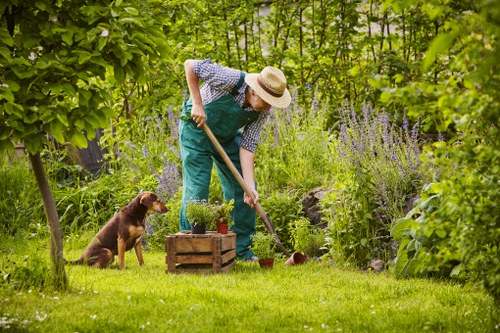 Gardeners Tokyngton modern slavery statement introduction
