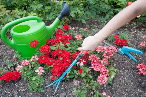 Overgrown garden clearance and landscaping support in Tokyngton