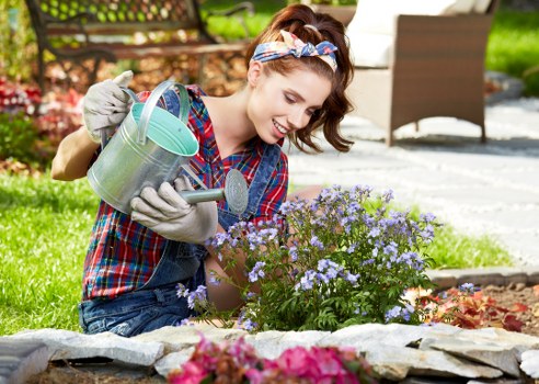 Patio cleaning in Tokyngton removing dirt and algae from paving