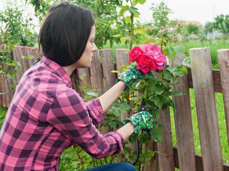 Gardener working safely with tools in a maintained outdoor space