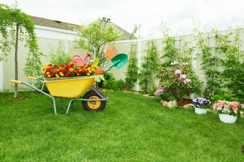Healthy green lawn after regular mowing in Tokyngton
