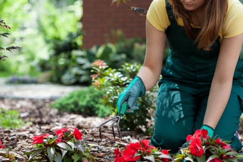 Professional gardeners in Tokyngton improving outdoor spaces