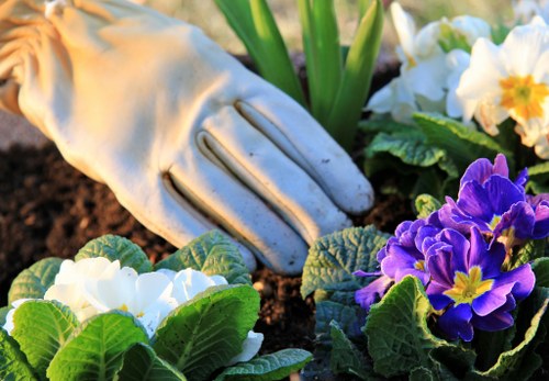Garden maintenance payment and cancellation terms