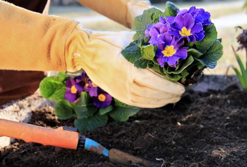 Seasonal lawn maintenance and mowing in Tokyngton
