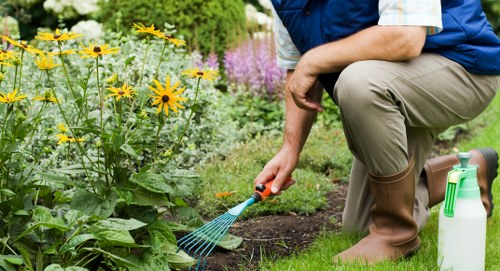 Resolving issues in a garden maintenance service