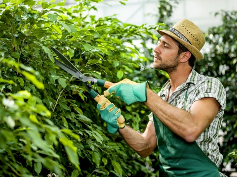 Charity partnership reuse items collected from garden maintenance work