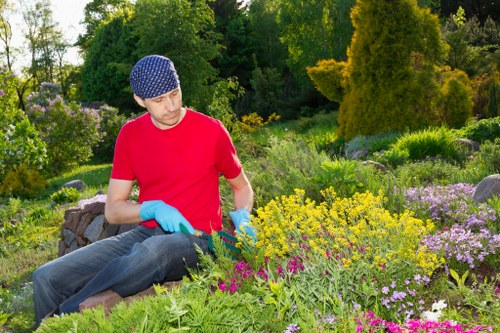 Seasonal garden maintenance and hedge trimming in Tokyngton