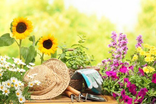 Dependable gardeners Tokyngton supporting healthy garden growth