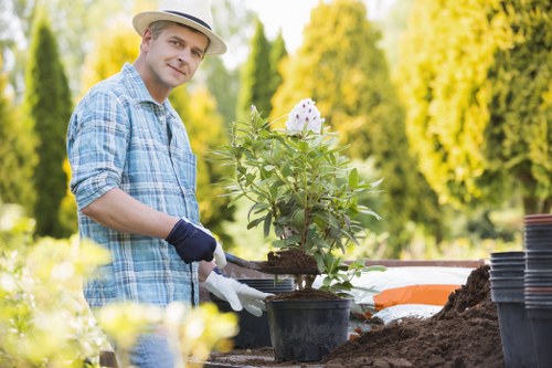 Professional Tokyngton gardeners working on a well-kept outdoor space