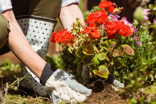 Healthy lawn care as part of garden maintenance in Tokyngton