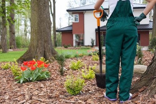 Garden clearance pricing near a busy Tokyngton street