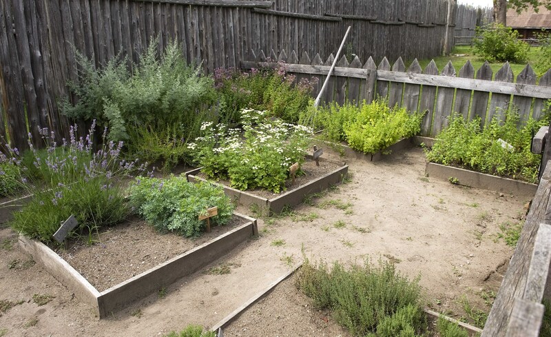 garden design Garden