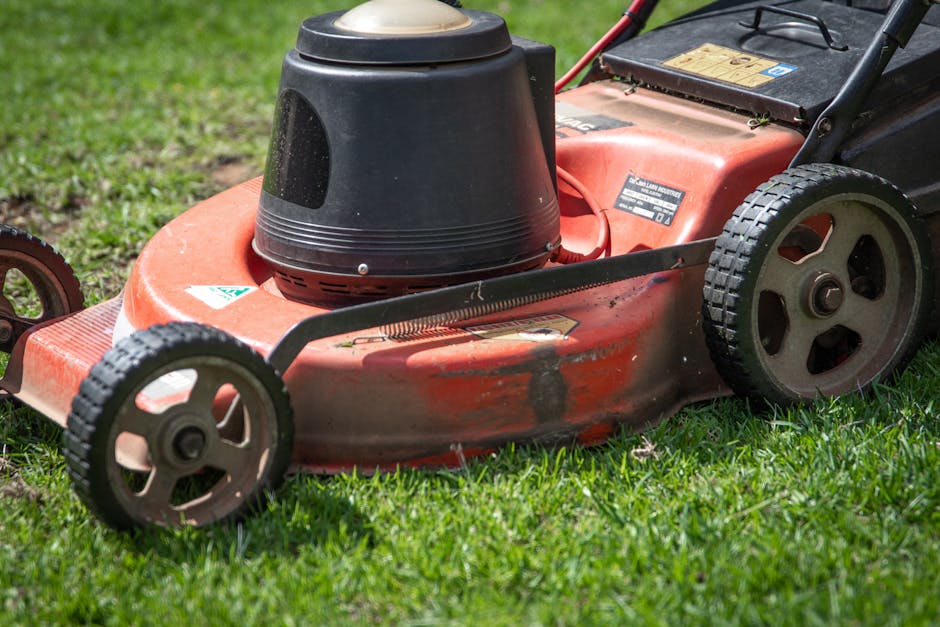 A close-up view of a red petrol lawn mower with black wheels, sitting on a well-maintained grassy garden lawn. The mower's cutting deck shows signs of usage, with some dirt and wear visible on the sur